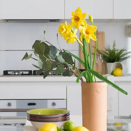 Housmart Nazario Sauro 15 Bolonya