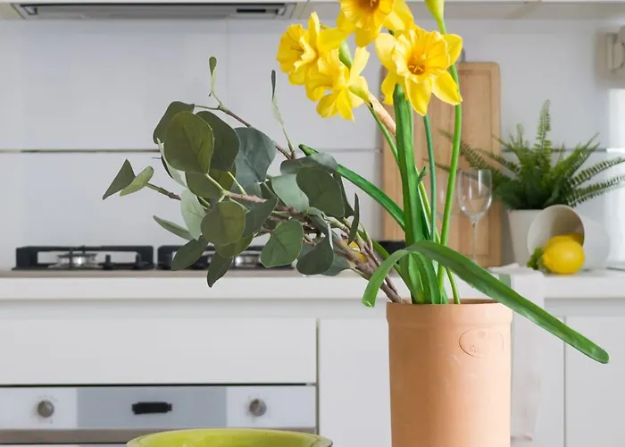 Housmart Nazario Sauro 15 בולוניה